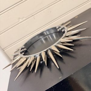Stainless Steel Spiked Collar